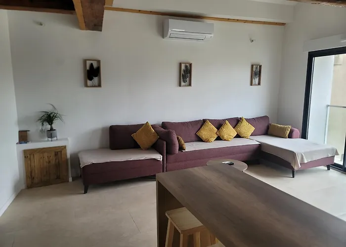 Beau T3 Au Coeur Du Centre Apartamento *