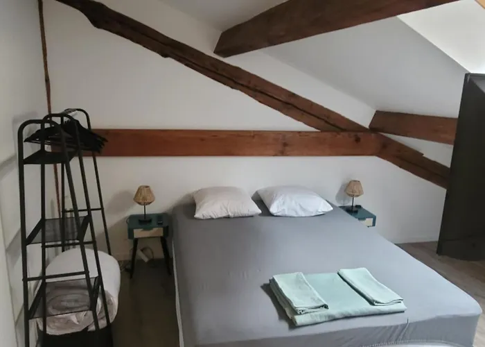 Beau T3 Au Coeur Du Centre Apartamento Narbona